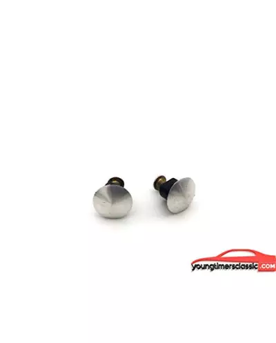 Viti Peugeot 205 per maniglia tetto apribile