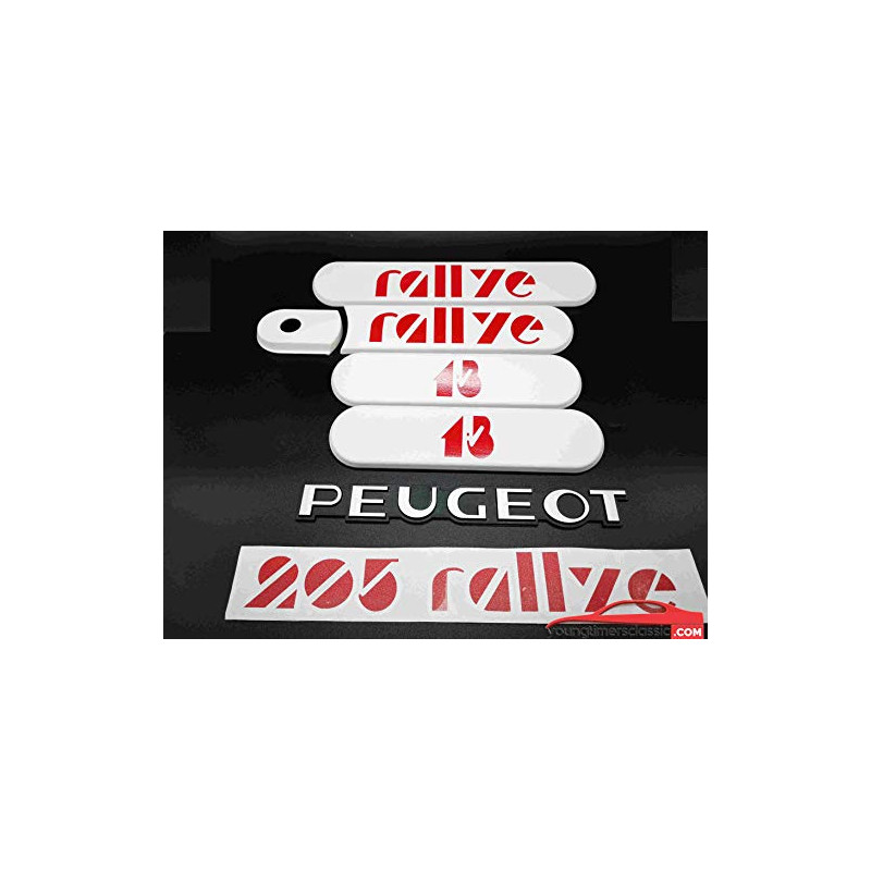 カストデス プジョー 205 Rallye コンプリートキット