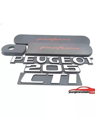 Grigio Custodes 205 Cti Pininfarina con 3 monogrammi