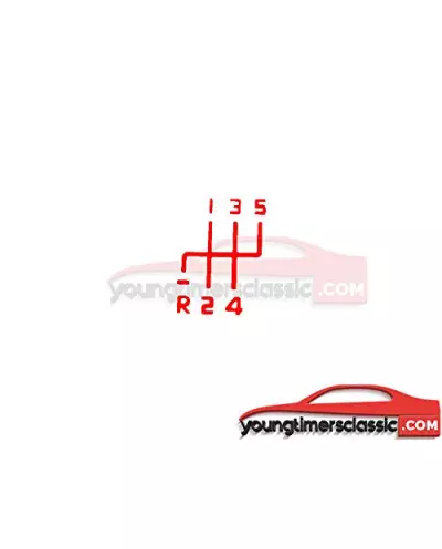 Renault R21 2L Turbo Pookknop Stickers