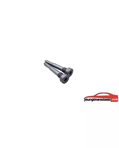 Perni cerniera porta Peugeot 205