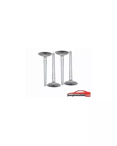 Intake valve 306 S16