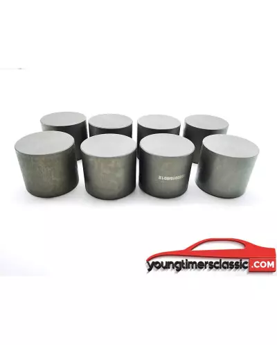 Levantavalvulas hidraulicas para Peugeot 205 Gti 1.6