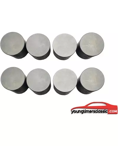 Levantavalvulas hidraulicas para Peugeot 205 Gti 1.6