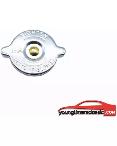 Bouchon vase d'expansion pour 205 CTI