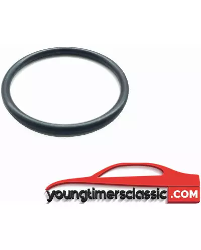 O-ring de ignição Peugeot 309 GTI