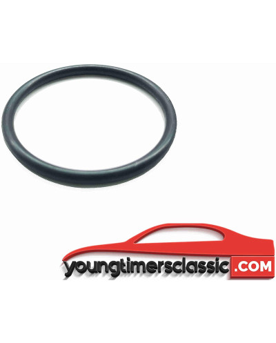 Igniter O-ring for Peugeot 205 Gti 1.9