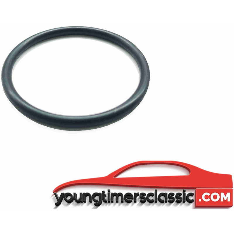 Igniter O-ring for Peugeot 205 Gti 1.6