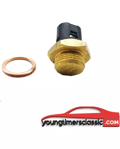 Clio 16S Thermoschalter