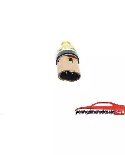 Clio Williams temperature sensor