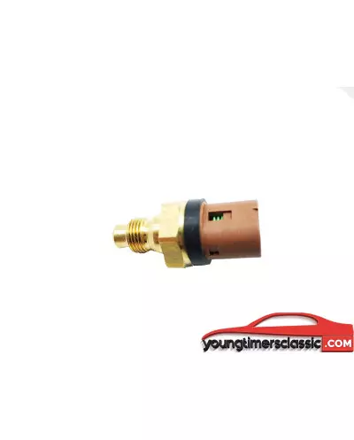 Clio Williams Temperatursensor