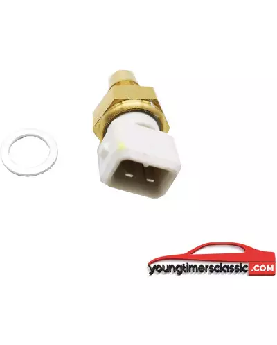 Sensor temperatura agua Clio 16S