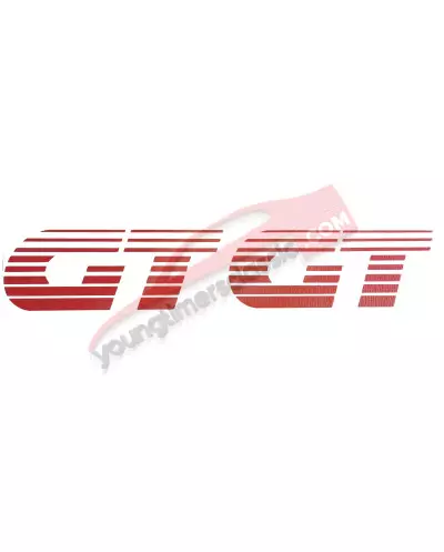 GT stickers for Peugeot 205 GT front fenders