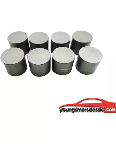 Levantavalvulas hidraulicas para Peugeot 205 Gti 1.6