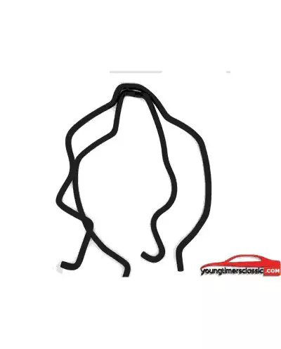 Renault Clio Williams Benzine Slangen