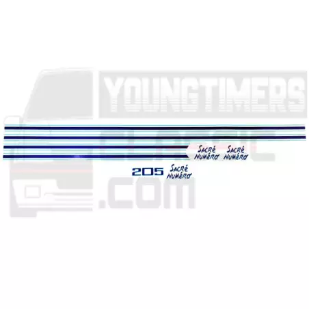Adesivos Peugeot 205 Número Sagrado Completo kit cor 1