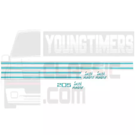 Adesivos Peugeot 205 kit número sagrado deco completa cor 2