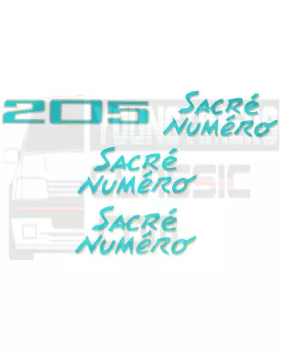 Adesivo número sagrado Peugeot 205 banda lateral asa tronco