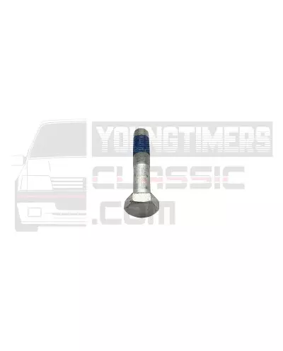 Peugeot 205 GTI parafuso de polia-de-manca