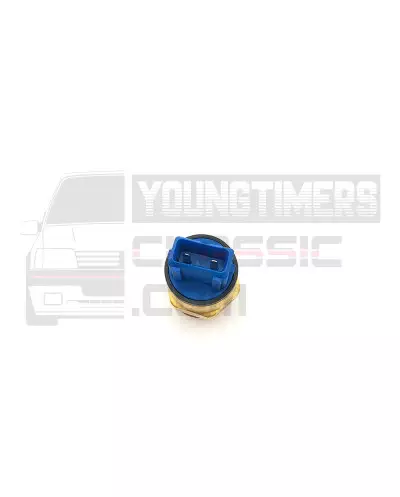 熱接触プローブ シトロエン アックス スポーツ GTI 97-92°1264.40
