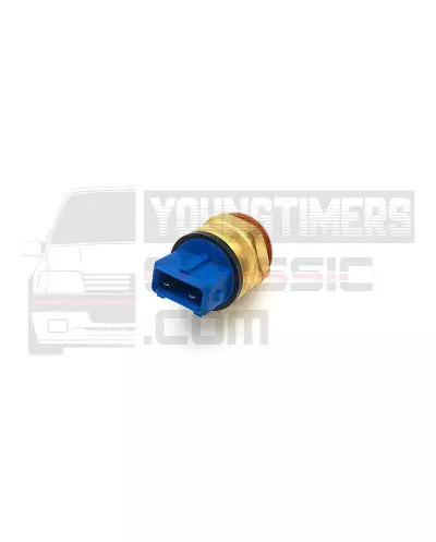 クーラント熱接触プローブシトロエンアックススポーツGTI 97-92°1264.40