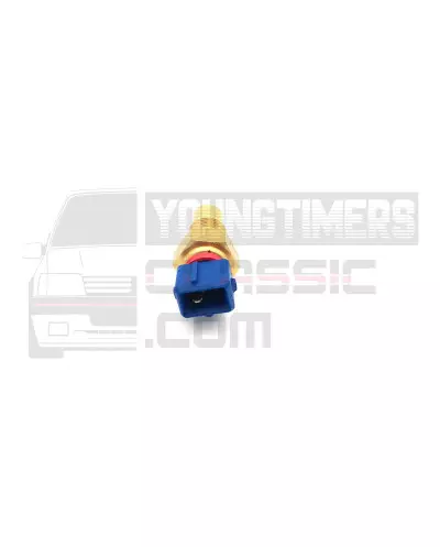 温度センサ プジョー 106 XSI Rallye 306 309 405 133809