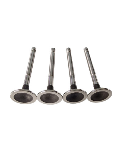 Optimize the performance of your Super 5 GT Turbo with quality exhaust valves