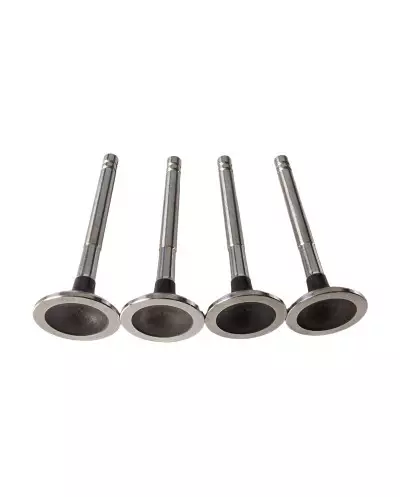 Optimice el rendimiento de su Super 5 GT Turbo con válvulas de escape de calidad