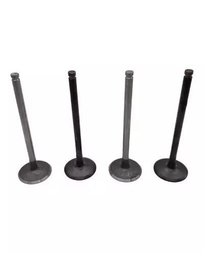 Soupape d'admission opur AX GTI 1.4 / GT et Saxo vts 1.4