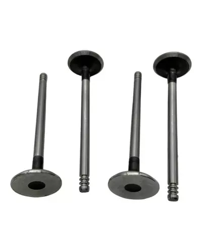 Exhaust valve suitable for Peugeot 106 S16 and Citroën Saxo VTS vehicles.