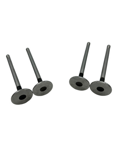 Specific exhaust valve for models 106 S16 and Saxo VTS.