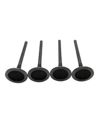 Intake Valve for Saxo VTS 1.6, 106 S16
