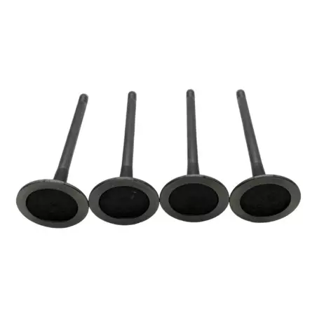 Intake valve Saxo Vts 1.6 106 S16