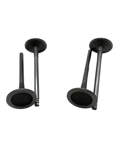 Input Valve Designed for Saxo VTS and 106 S16 Models