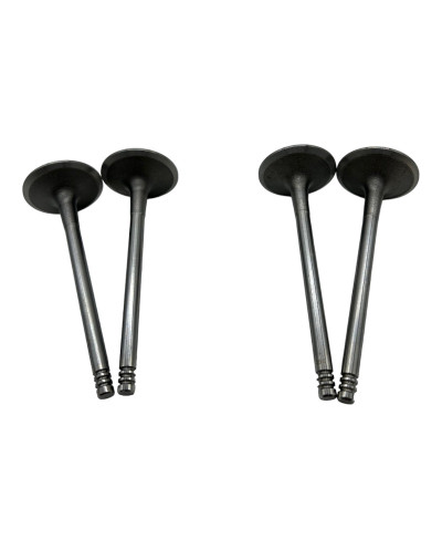 Intake valve specific to Saxo VTS and 106 S16 models.