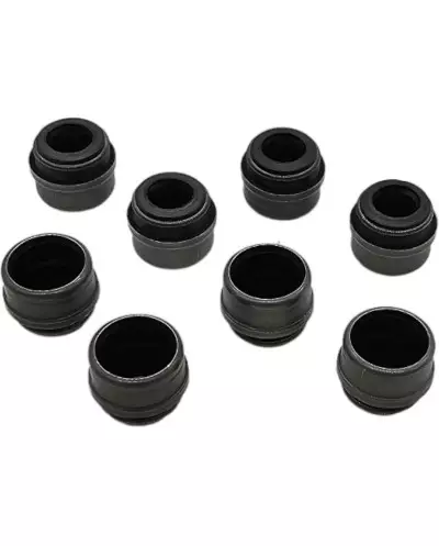 Set van 8 klepsteelafdichtingen voor 309 GTI 16