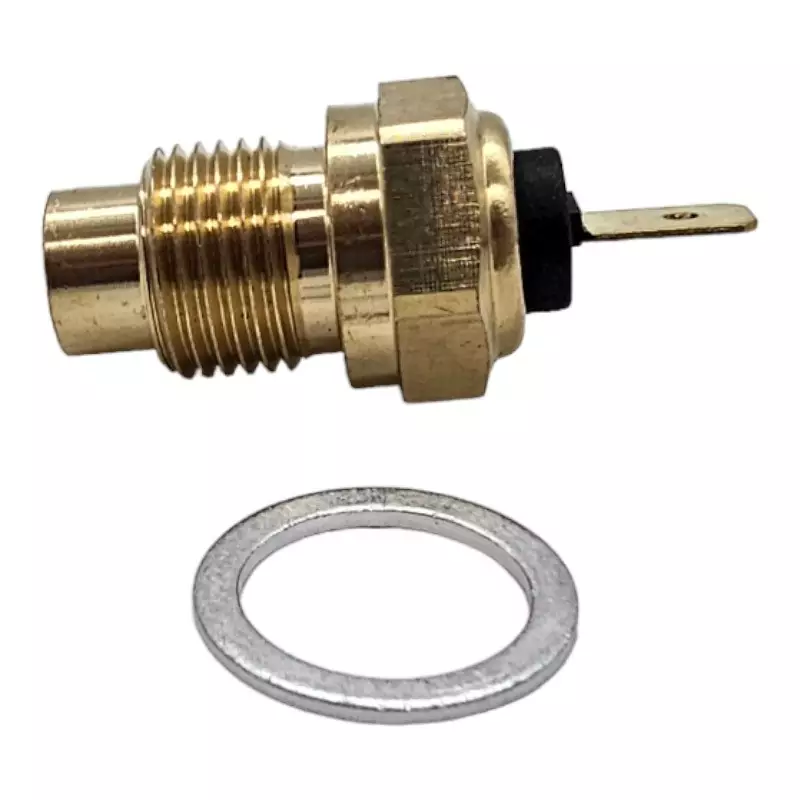 Sensor de resistencia térmica para la temperatura del agua del Peugeot 205 Rallye