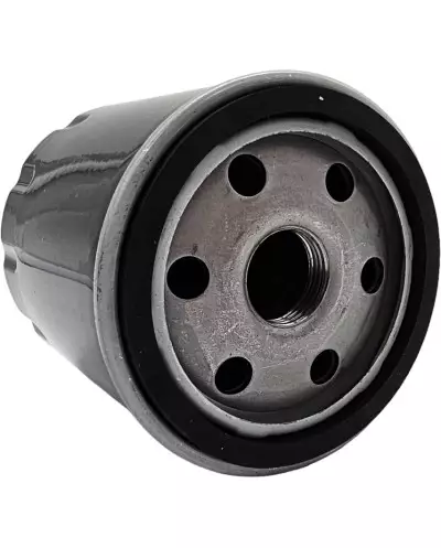 Sistema di filtraggio dell'olio per la Peugeot 205 CTI