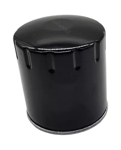 Filtro dell'olio progettato per la Peugeot 205 CTI