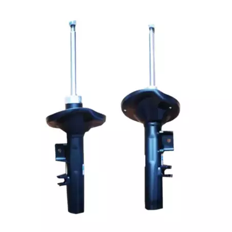Amortiguador delantero B4 Bilstein 205 CTI