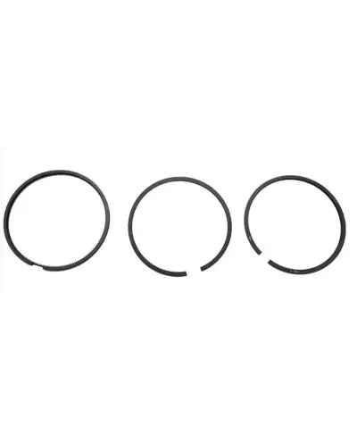 Clio 16S piston segmentation