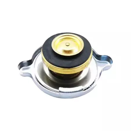 309 GTI用拡張タンクキャップ 16インチメタル