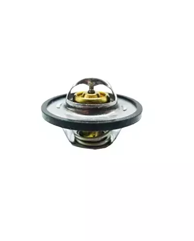 Calorstat Clio Williams 89°C optimum performance