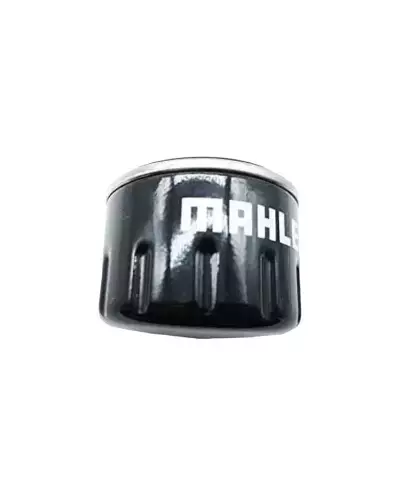 Oil Filter for Renault Clio Williams