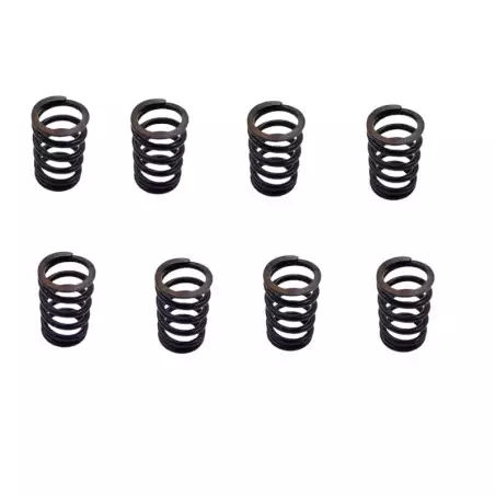 Super 5 GT Turbo reinforced valve springs