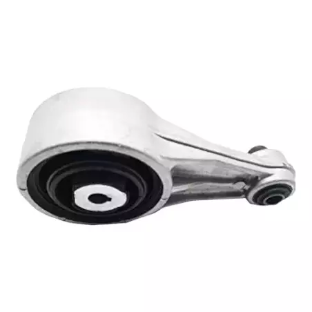 Clio Williams Motorlager hinten