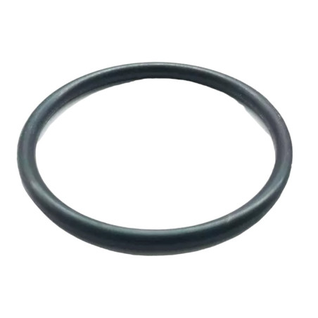 Igniter O-ring for Peugeot 205 GTI 1.9