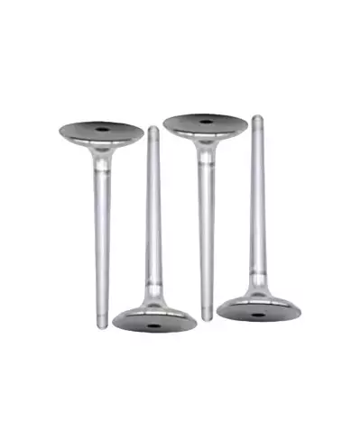 Set of 8 Intake Valves for 306 S16