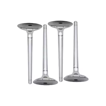 Intake valve 306 S16