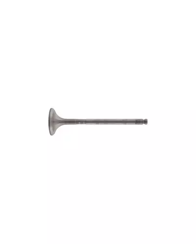 Exhaust valve for 306 S16 Ø 29.2 Ø 7-105.8
